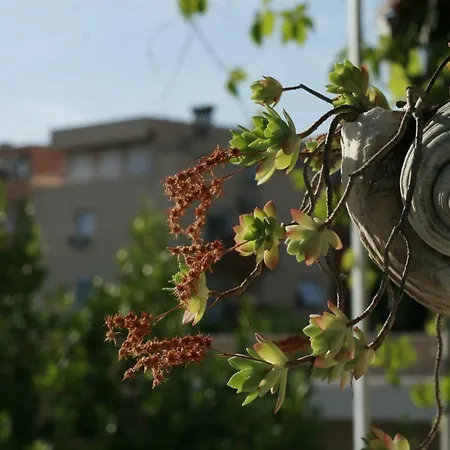 Spacious In The Center ספליט