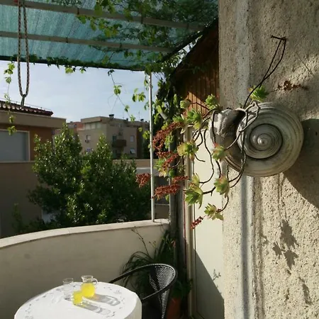 Apartment Spacious In The Center